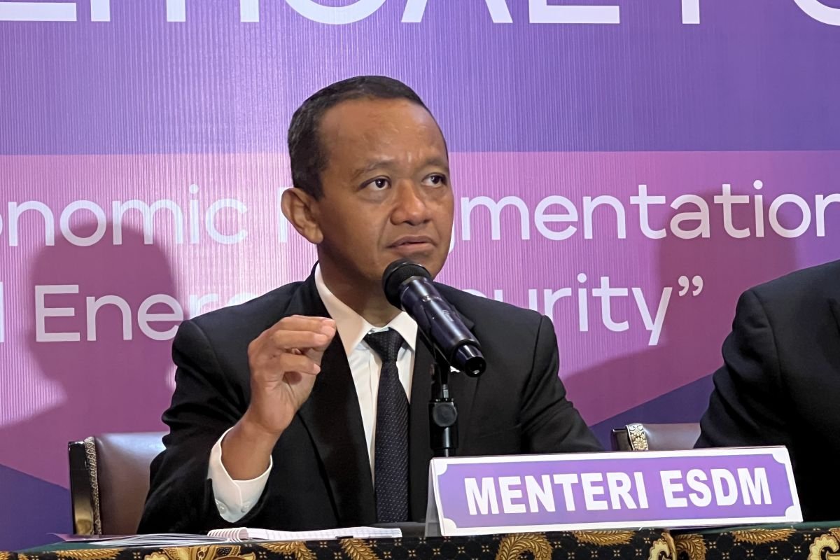 Indonesia’s First Nuclear Power Plant by 2034: A Bold Step Toward a Greener Future