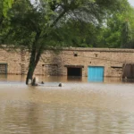 Record Monsoon Floods Ravage Punjab’s Farmlands Leaving Behind a Trail of Devastation and Despair